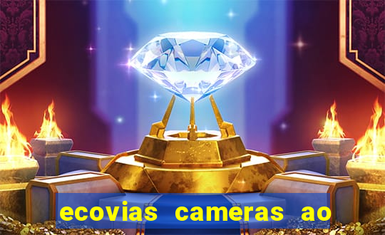 ecovias cameras ao vivo santos